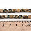 Natural Verdite Stone Beads Strands G-N346-04A-06-5