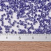 MIYUKI Delica Beads SEED-JP0008-DB1569-2