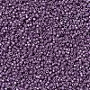 MIYUKI Delica Beads SEED-X0054-DB1173-3
