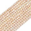 Electroplate Bicone Glass Beads Strands GL-T021-2.5x3mm-16-13-2