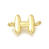 Brass Connector Charms KK-P295-01G-H-1
