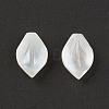 Natural Sea Shell Beads SSHEL-T012-15-3