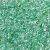 6/0 Spray Paint Fringe Glass Seed Beads X1-SEED-H003-11L-2