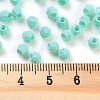 Baking Paint Glass Seed Beads SEED-A032-02C-4