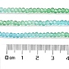 Transparent Painted Glass Beads Strands DGLA-A034-T2mm-A17-3