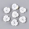 Natural White Shell Beads BSHE-T014-50-1
