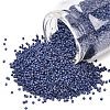 MIYUKI Delica Beads X-SEED-J020-DB2319-1
