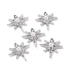 Alloy Rhinestone Pendants ALRI-H004-05P-3