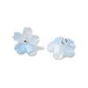 Glass Charms GLAA-G127-05E-2