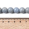 Natural Angelite Beads Strands G-G840-03-10mm-5