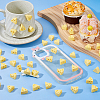 70Pcs Resin Food Simulation AJEW-DC0002-14-4