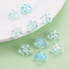 Transparent Acrylic Beads LS-TACR-S154-45C-754-6