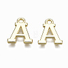 Alloy Charms PALLOY-Q441-025A-NR-2