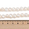 Natural Cultured Freshwater Pearl Beads Strands PEAR-I007-07J-02A-5