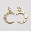 Brass Cubic Zirconia Charms ZIRC-P036-20-G02-RS-2