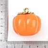 Opaque Resin Pendants FIND-E053-02B-G-3