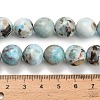 Natural Larimar Beads Strands G-L642-B19-12mm-5