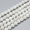 Natural Rainbow Moonstone Beads Strands G-G792-34A-1