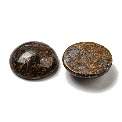 Natural Bronzite Cabochons G-C115-02A-25-1