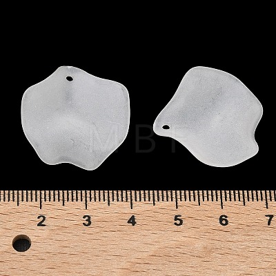 Frosted Acrylic Pendants SACR-F016-02C-1