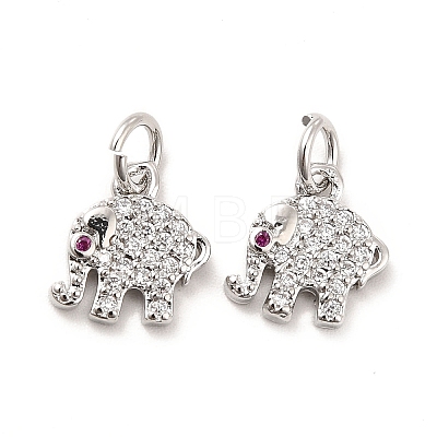 Rack Plating Brass Micro Pave Cubic Zirconia Charms KK-K270-17P-1