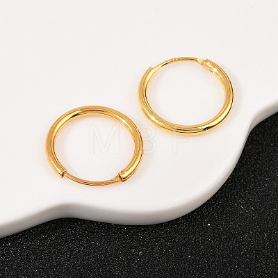 925 Sterling Silver Hoop Earrings STER-B008-01B-G-1