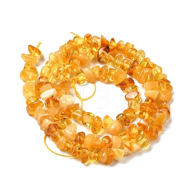 Natural Amber Chip Beads Strands G-E271-81A-1