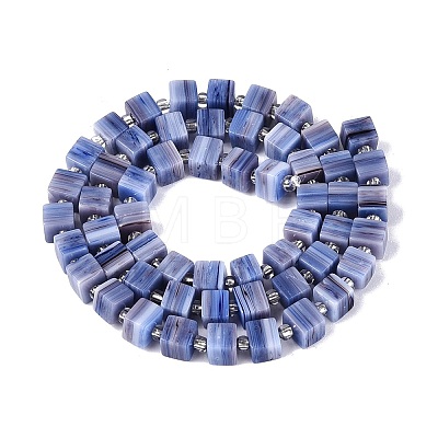 Handmade Nepalese Lampwork Beads Strands LAMP-M019-01E-1