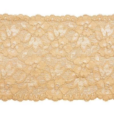 Stretch Elastic Lace Trim OCOR-TAC0006-02D-1