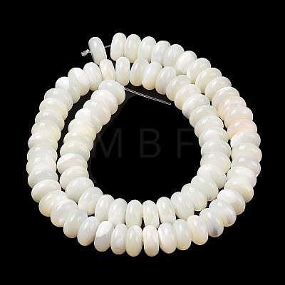 Natural Trochus Shell Beads Strands SHEL-P017-06-1