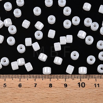 Glass Seed Beads SEED-T008-01A-1