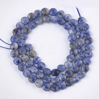 Natural Blue Spot Jasper Beads Strands G-S354-18-1
