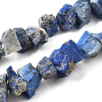 Natural Lapis Lazuli Beads Strands G-I283-F21-1