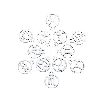 316L Stainless Steel Charms STAS-CJ0001-60-1