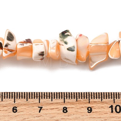 Natural Trochid Shell/Trochus Shell Beads Strands SHEL-B003-02B-1