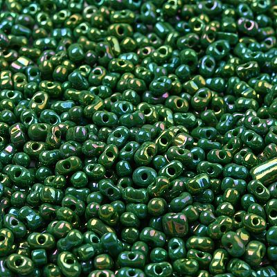 Glass Seed Beads SEED-K009-09A-01-1