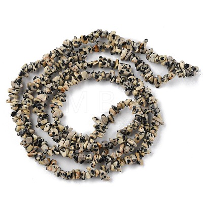 Natural Dalmatian Jasper Beads Strands X-G-G0003-B29-1