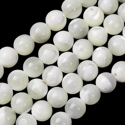 Natural Trochid Shell/Trochus Shell Beads Strands SH-CBA2978-16B-1