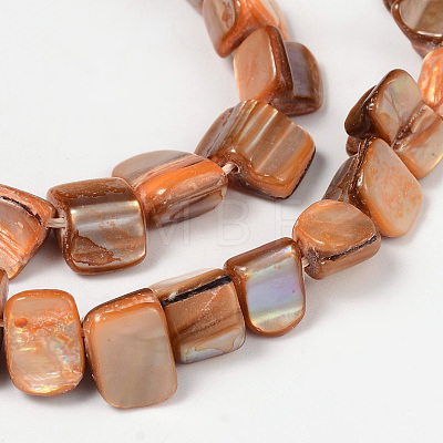 Erose Natural Shell Beads Strands PBB069Y-1