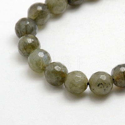 Natural Gemstone Labradorite Faceted Round Bead Strands G-O021-10mm-01-1