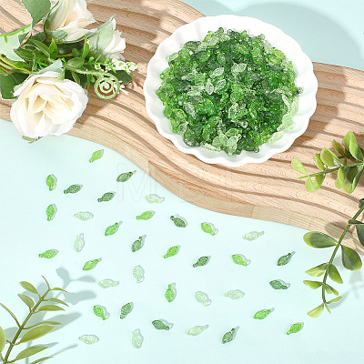 900Pcs 3 Colors Transparent Acrylic Charms TACR-PA0001-27-1