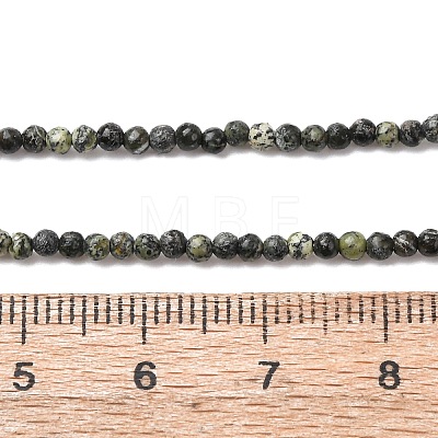 Natural Serpentine/Green Lace Stone Beads Strands G-Z116-A16-2mm-1