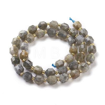 Natural Labradorite Beads Strands G-K303-A26-8mm-1