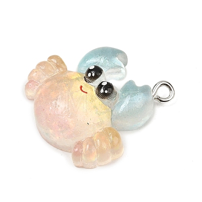 Ocean Theme Transparent Resin Pendants RESI-I351-03P-01-1