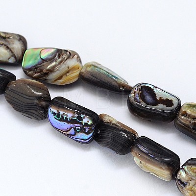 Natural Paua Shell Beads Strands SSHEL-J047-03-1