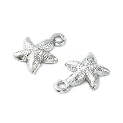 304 Stainless Steel Charms STAS-L269-063P-1