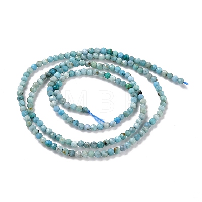 Natural Blue Opal Beads Strands LS-G-K315-B05-A-1