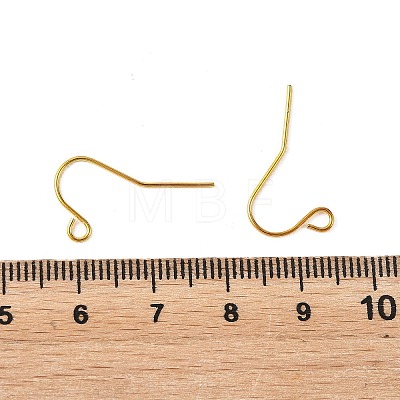 Iron Earring Hooks RN-CBA973B-10B-G-1