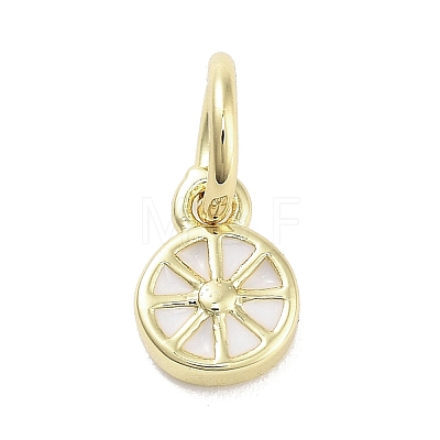 Rack Plating Brass Enamel Charms KK-M293-38G-04-1