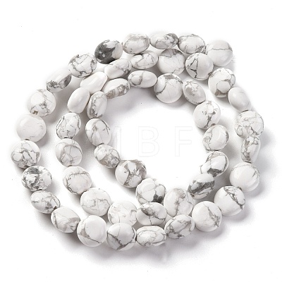 Natural Howlite Beads Strands G-T047-A03-01-1